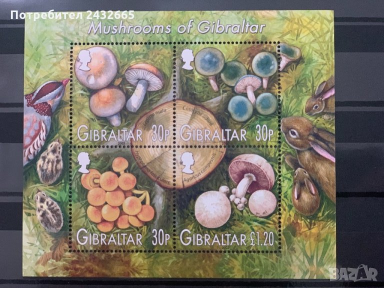 492. Гибралтар 2003 ~ “ Флора и фауна. Гъбите на Гибралтар ”,**, MNH, снимка 1