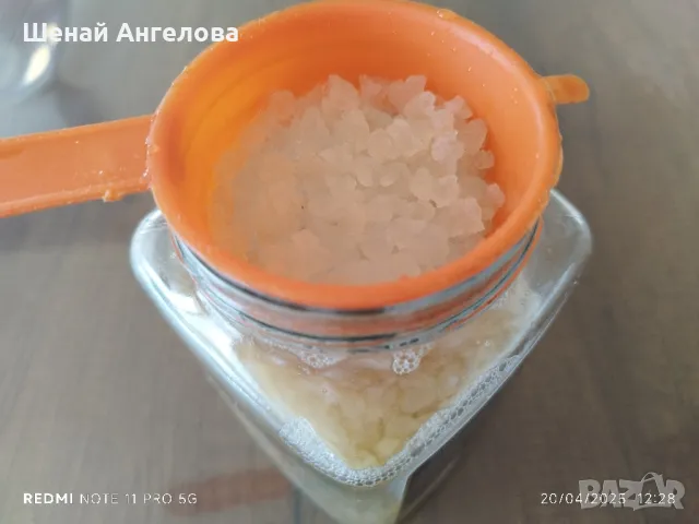 Подарявам гъба за млечен кефир, снимка 2 - Домашни напитки - 50038984