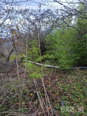 Парцел с. Кичево