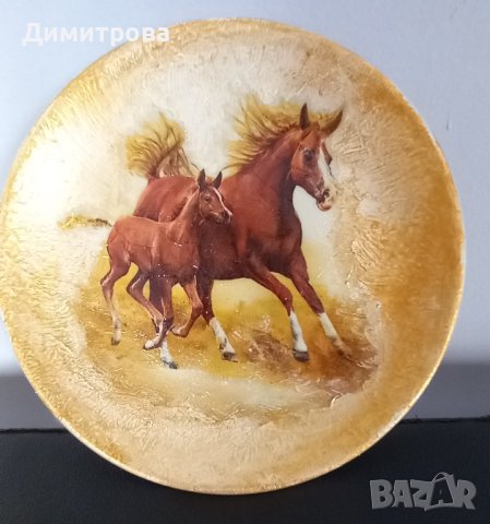 Коне , снимка 3 - Коне - 44118799