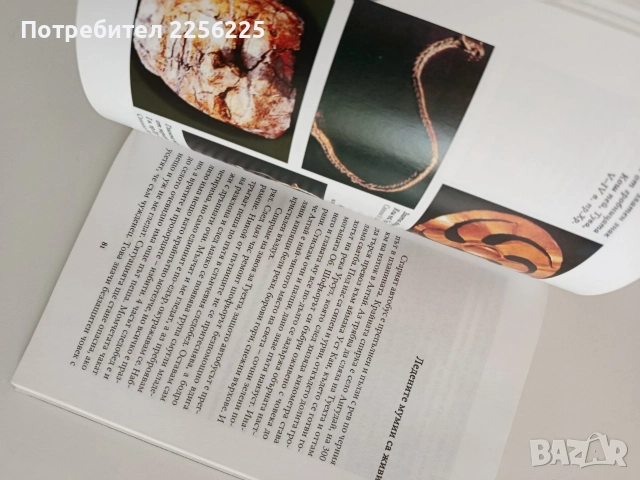 В прародината на българите, снимка 5 - Художествена литература - 52942885