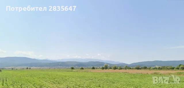 Планински горски парцел!, снимка 4 - Земеделска земя - 50005702