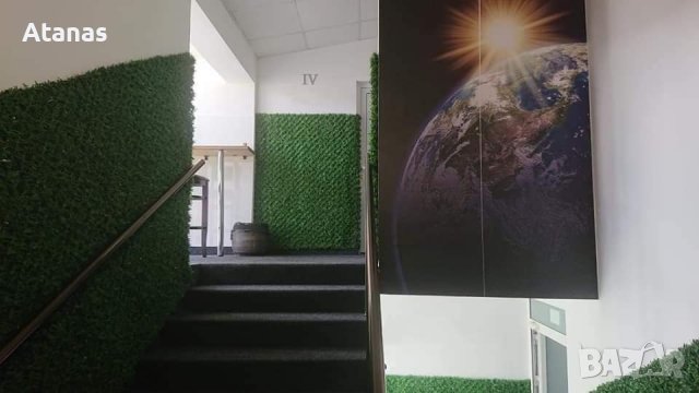 Декоративна мрежа - Трева - Жив плет, снимка 4 - Огради и мрежи - 39379867