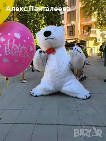 Бяло Мече и Зайче за вашата изненада Плевен Ловеч Троян, снимка 2 - Други - 48141975