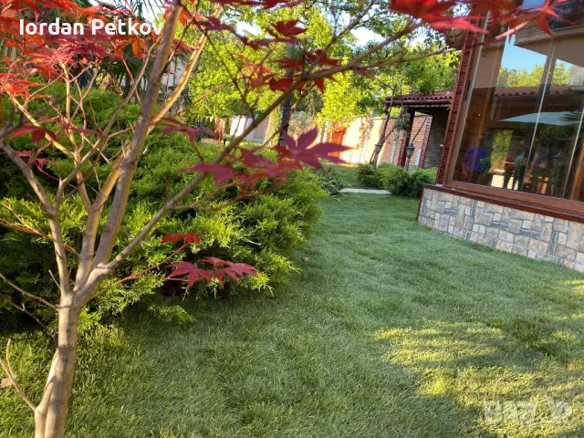 📍📍📍Тревен чим 25 лв. за кв/м. цената включва: тревен чим, товаро-разтоварна дейност, полагане и м, снимка 5 - Градински цветя и растения - 50381448