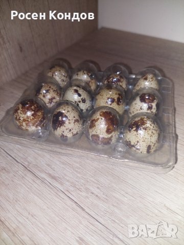 Домашни пъдпъдъчи яйца