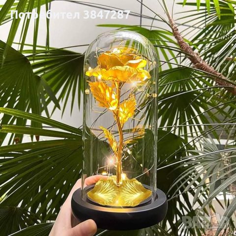 Вечна роза в стъкленица с LED светлина , снимка 5 - Изкуствени цветя - 43848564