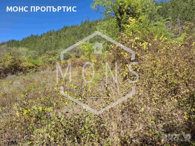 Поземлен имот за продажба в с. Присово, обл. В. Търново