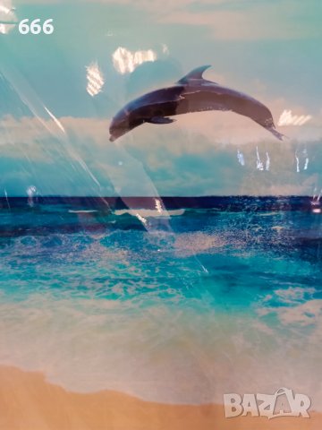 Картини 80х60 см, снимка 7 - Картини - 43498803