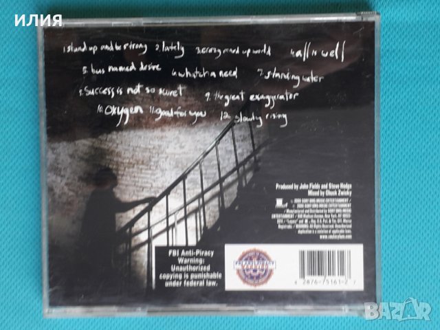 Soul Asylum – 2006 - The Silver Lining(Alternative Rock), снимка 4 - CD дискове - 43592767