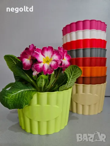 10 броя цветни кашпи само за 9.90 🤩 КАШПИ ЗА ЦВЕТЯ, снимка 2 - Саксии и кашпи - 48779945