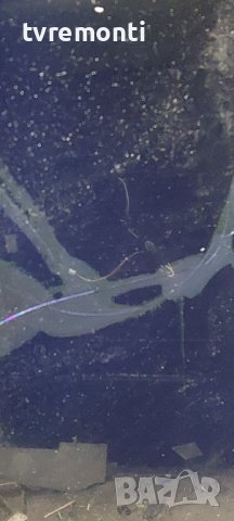 лед диоди от дисплей HC430EUN AACR1 от телевизор LG модел 43LF540V, снимка 7 - Части и Платки - 38129968