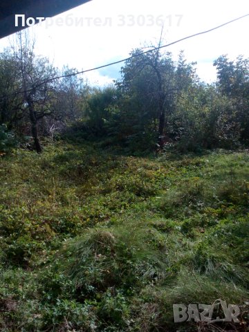 Продавам къща с дворно място с. Садовец, Плевенски окр., снимка 10 - Къщи - 43755251