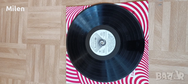 30 броя грамофонни плочи, снимка 11 - Антикварни и старинни предмети - 53422498