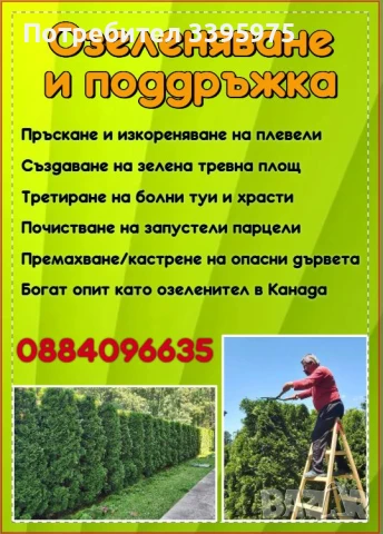 Почистване на дворове и запустели парцели от храсти и къпина., снимка 2 - Други почистващи услуги - 51370805