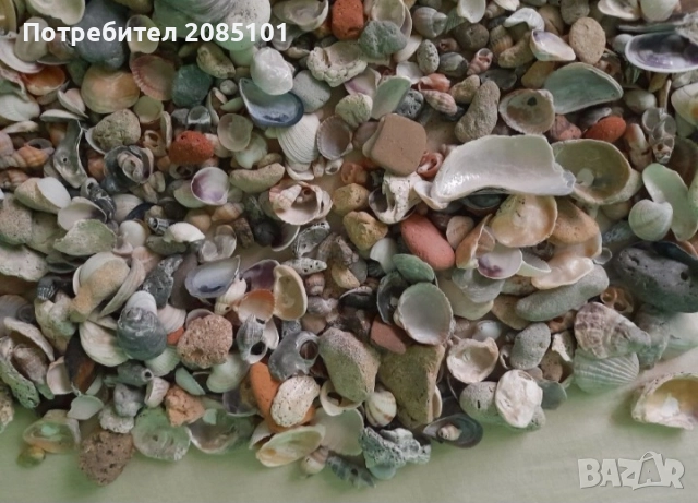 Морски мидички и камъчета, снимка 10 - Други стоки за дома - 52146747