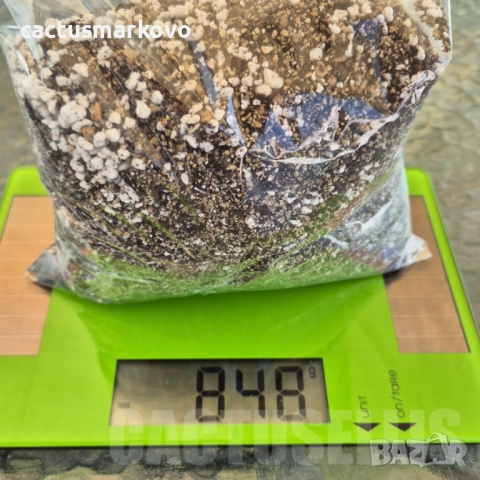 ВИСОКОКАЧЕСТВЕНА ПОЧВА ЗА КАКТУСИ И СУКУЛЕНТИ 1 ЛИТЪР, снимка 3 - Стайни растения - 51616238