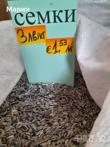 Шарен слънчоглед дребен