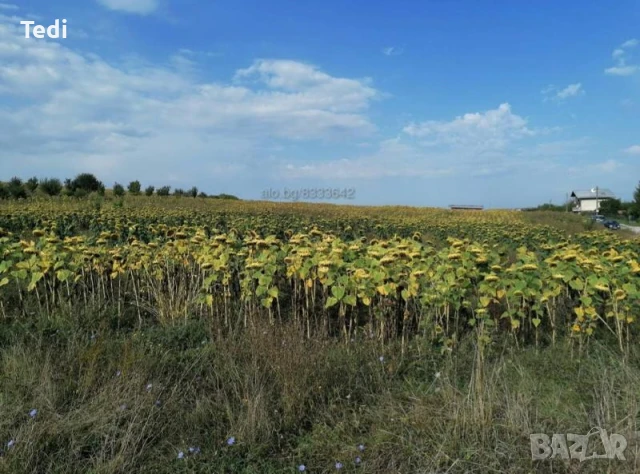 Продава парцел, снимка 3 - Земеделска земя - 51094131