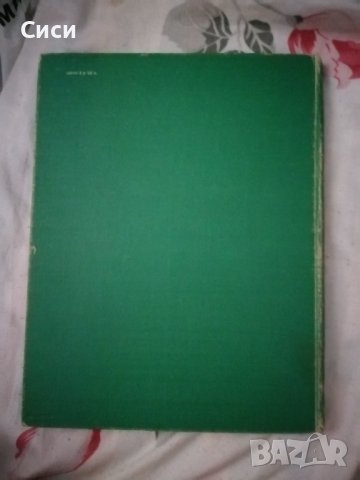 Медведи, снимка 2 - Художествена литература - 37342383