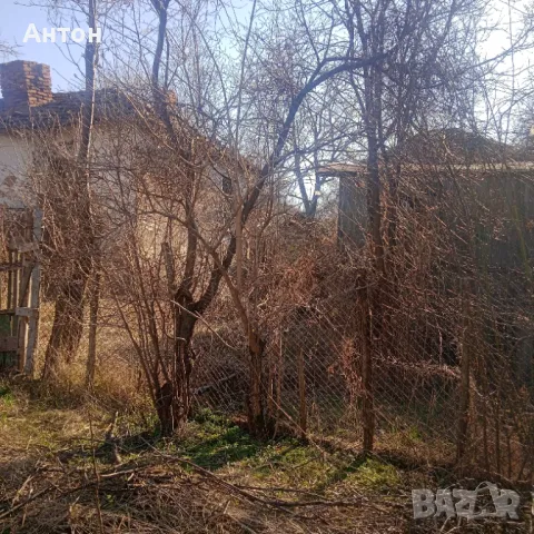 Продавам къща с двор е с.Тошевци община Видин, снимка 7 - Къщи - 48732939