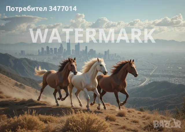 Картина с бягащи коне, пвц пано 5мм, различни размери, снимка 1
