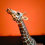 Колекционерска фигурка Schleich Giraffe Жираф 2008 18 см, снимка 9
