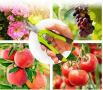 Лозарски ножици градински и овощарски ножици за подрязване ръчни, снимка 3