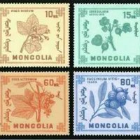 Диви горски плодове на Монголия-8 марки, 1968 г., Монголия, снимка 1 - Филателия - 27971987