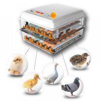 Напълно автоматичен инкубатор MS-120 яйца (12V/220V) #224 Безплатна доставка