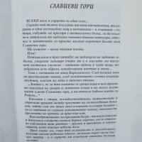 Книга Майстор Славо Родова хроника - Георги Райчевски 2003 г., снимка 3 - Други - 37290245