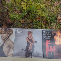 Tina Turner - Vinyl LP, снимка 6 - Грамофонни плочи - 38597865