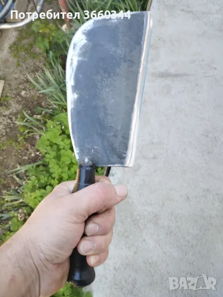 Сатър белгийски , снимка 1