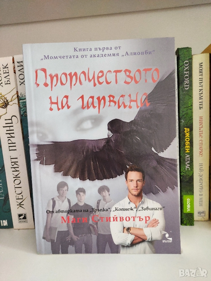 Пророчеството на гарвана Кн.1 ( Маги Стийвотър), снимка 1