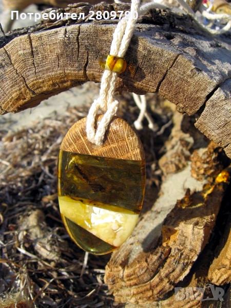 Приказна висулка от естествен балтийски кехлибар / Fabulous Pendant made of Natural Baltic Amber, снимка 1