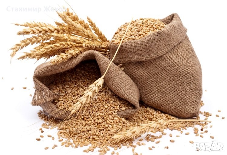 Пълнозърнесто брашно от пшеница, снимка 1