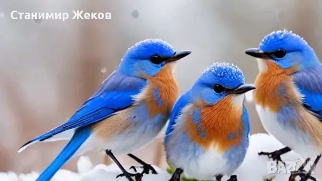 Календари, снимка 5 - Други стоки за дома - 48101778