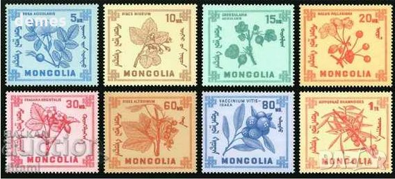 Диви горски плодове на Монголия-8 марки, 1968 г., Монголия, снимка 1 - Филателия - 27971987