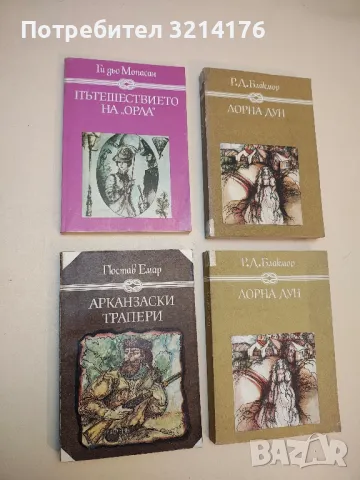 Господаря на Балантрей. Зимна приказка - Робърт Луис Стивънсън, снимка 5 - Художествена литература - 50109097