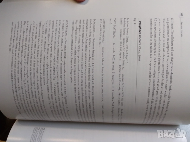 Тропическо море-Tropical Deep Sea Benthos, снимка 6 - Енциклопедии, справочници - 51756943