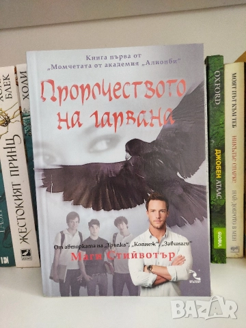 Пророчеството на гарвана Кн.1 ( Маги Стийвотър)