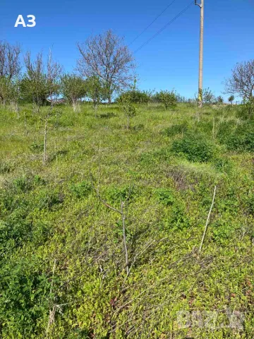 Продавам парцел в село Стамболийски, област Хасково, снимка 8 - Парцели - 50131042