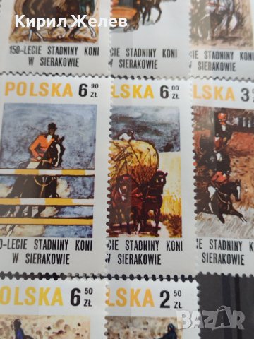 Пощенски марки чиста серия без печат Конен спорт през вековете поща Полша редки за КОЛЕКЦИЯ 38176, снимка 5 - Филателия - 40783243