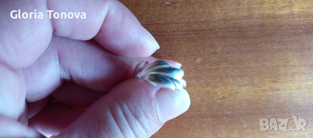 Сребърен пръстен , снимка 2 - Пръстени - 53335090