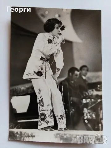 Снимки от Златен Орфей , снимка 3 - Колекции - 49699032