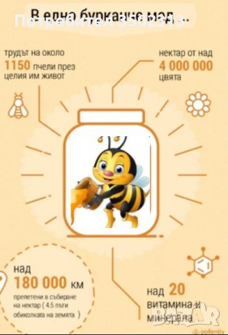 Пчелен мед, снимка 3 - Пчелни продукти - 38112872
