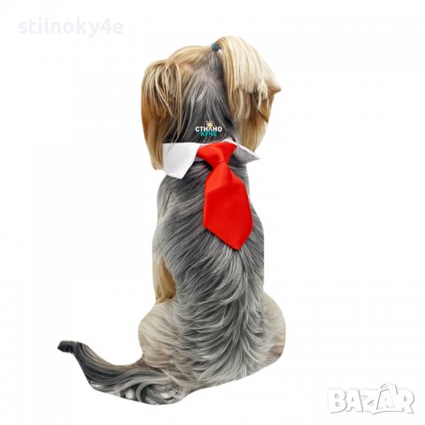 Вратовръзка за дребни, средни и едри породи кучета Кучешки вратовръзки Кучешка вратовръзка/папийонка, снимка 2 - За кучета - 32250633