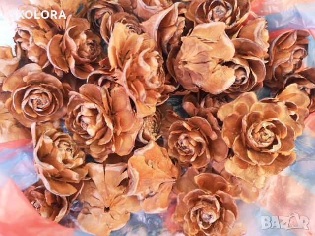 Огромни Шишарки , снимка 4 - Декорация за дома - 27237139