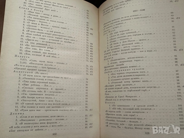 Марина Цветаева-Съчинения в 2тома, снимка 4 - Художествена литература - 51784366