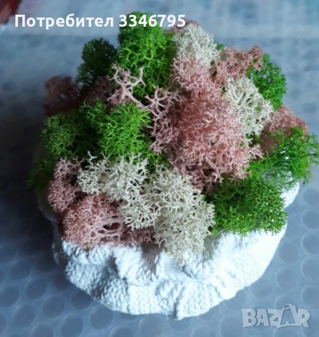 Кашпа със скандинавски мъх. , снимка 5 - Други - 44117016